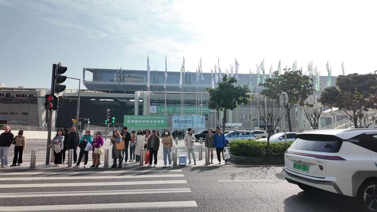 深圳茶博会素材 4