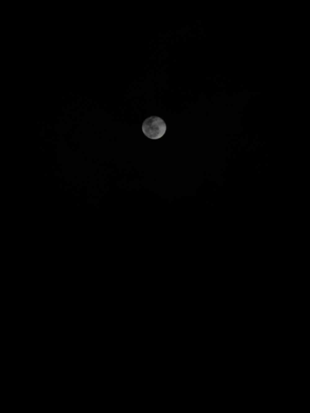 月🌙