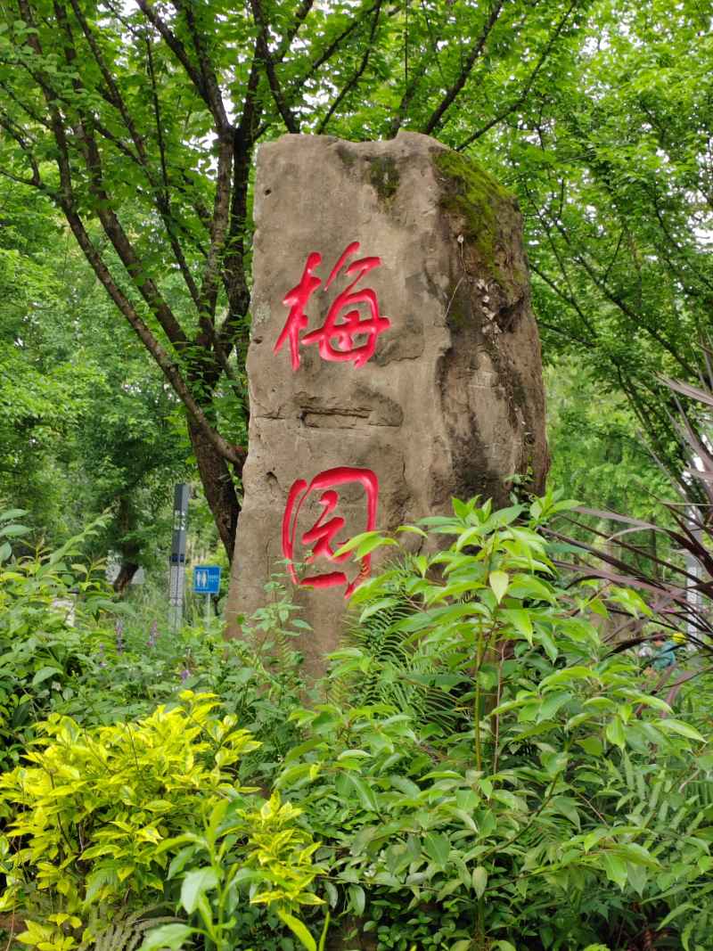 石上字