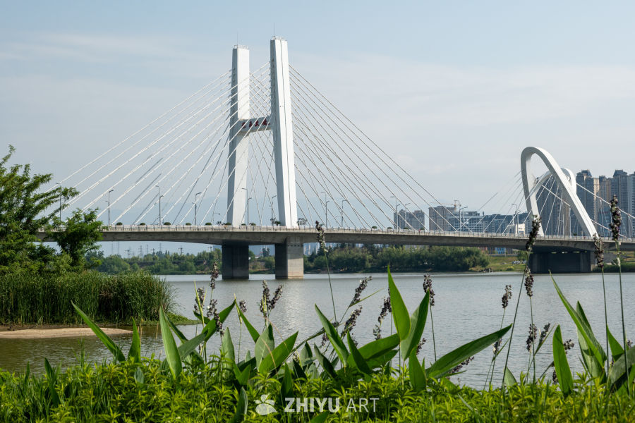 湿地公园一角 5