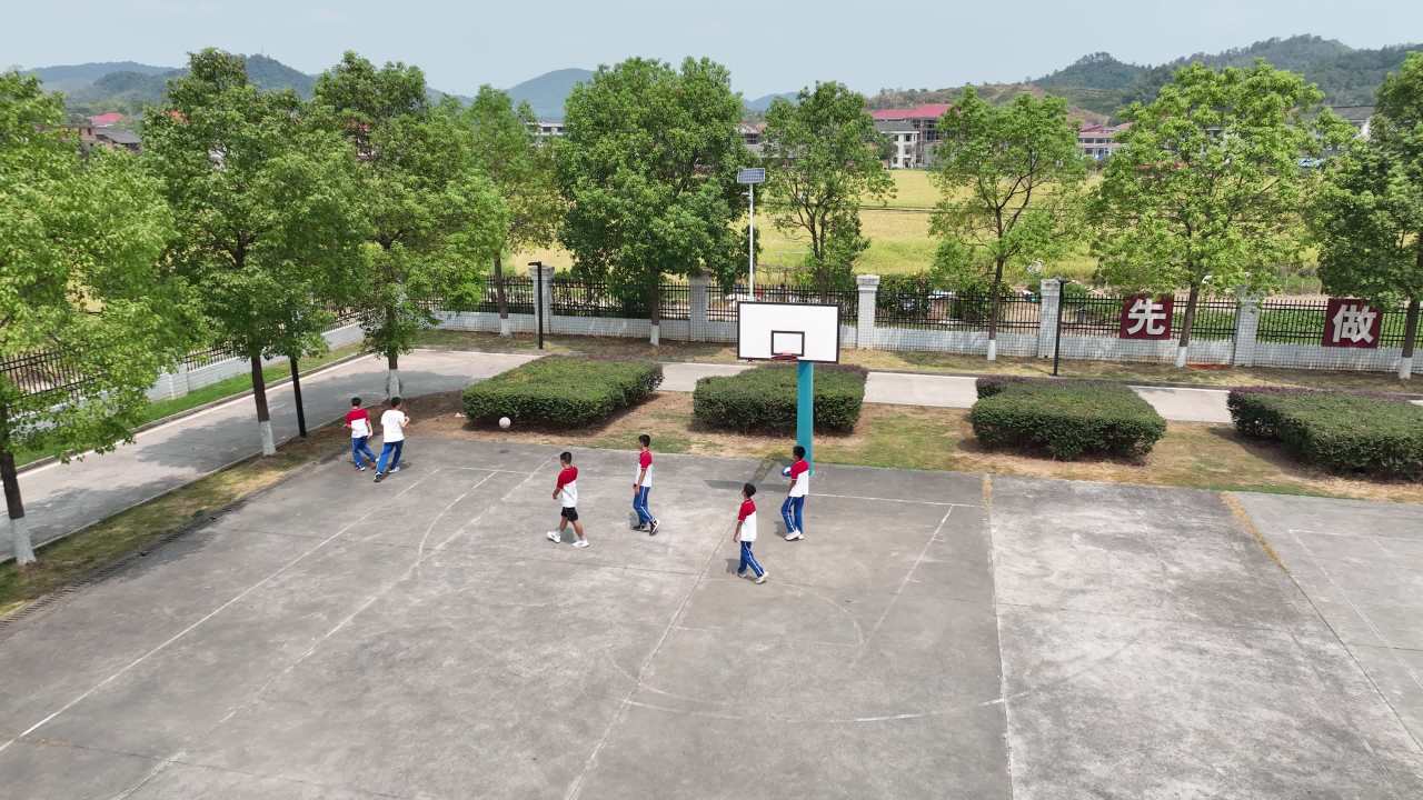 小学 10