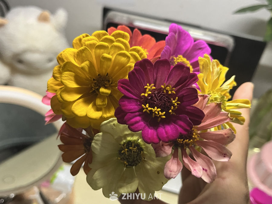 手捧五彩斑斓的花朵