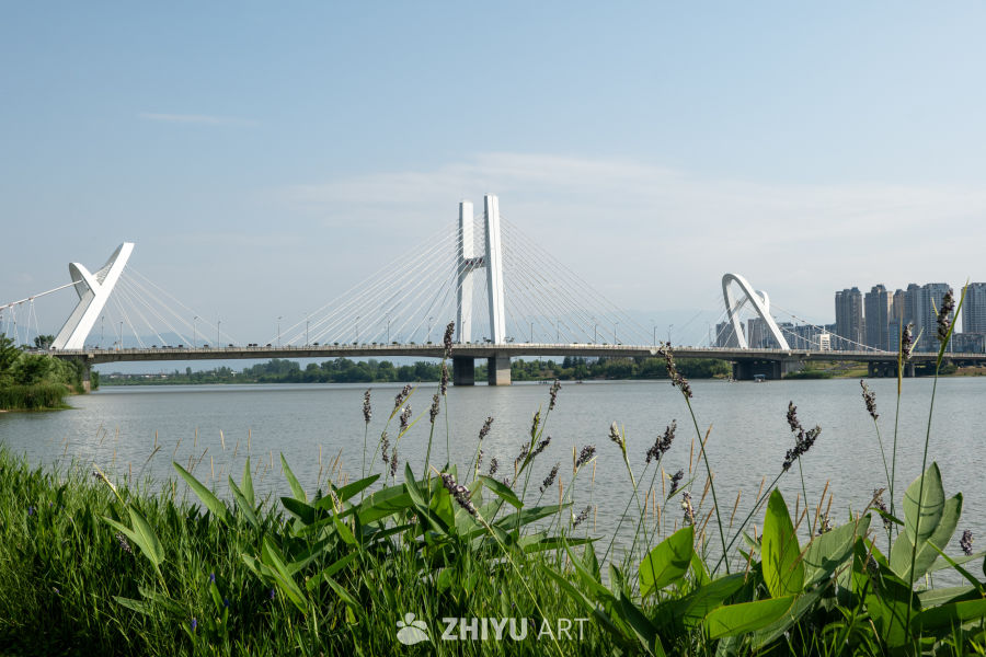 湿地公园一角 7