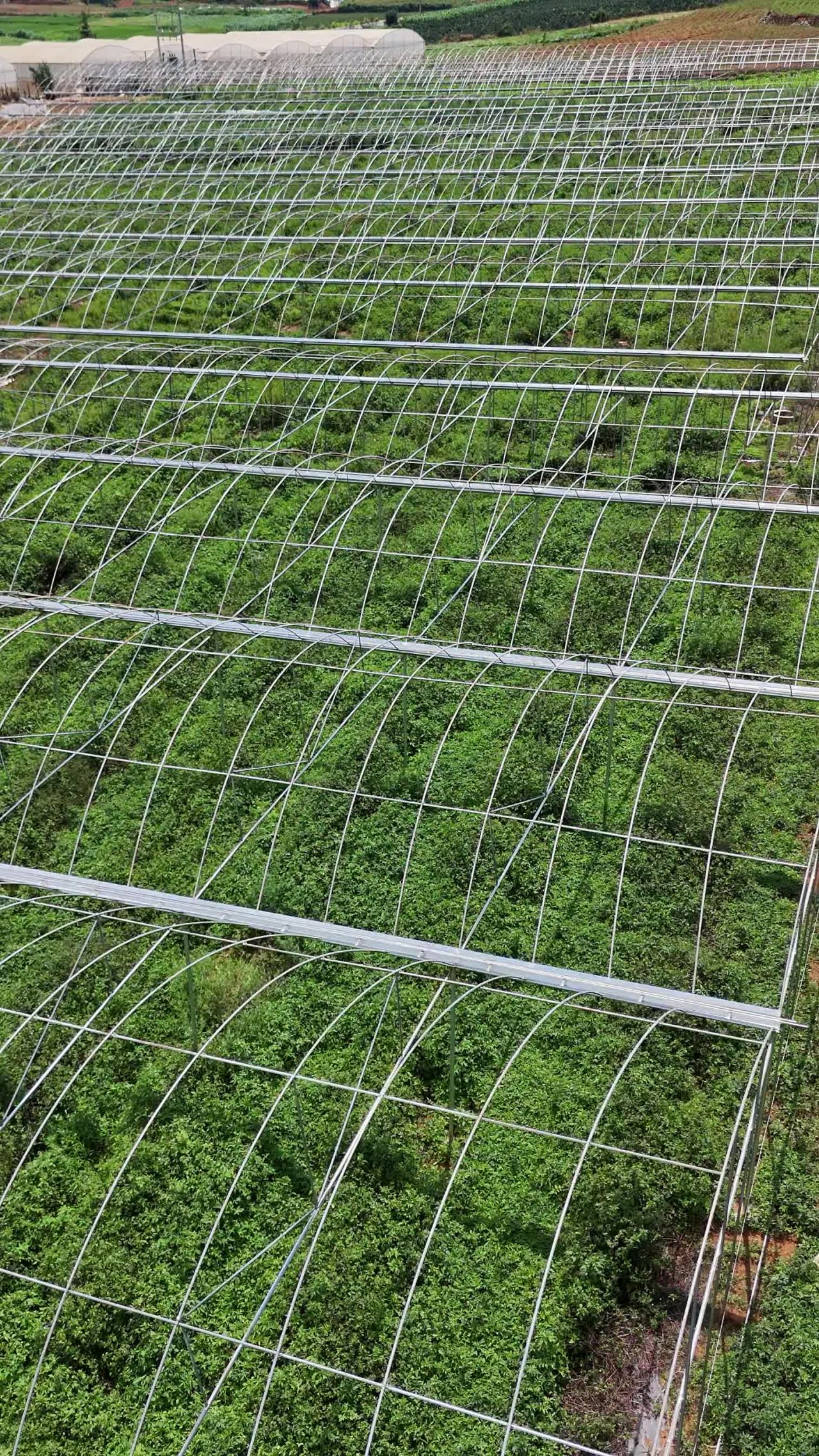 温室植物园景