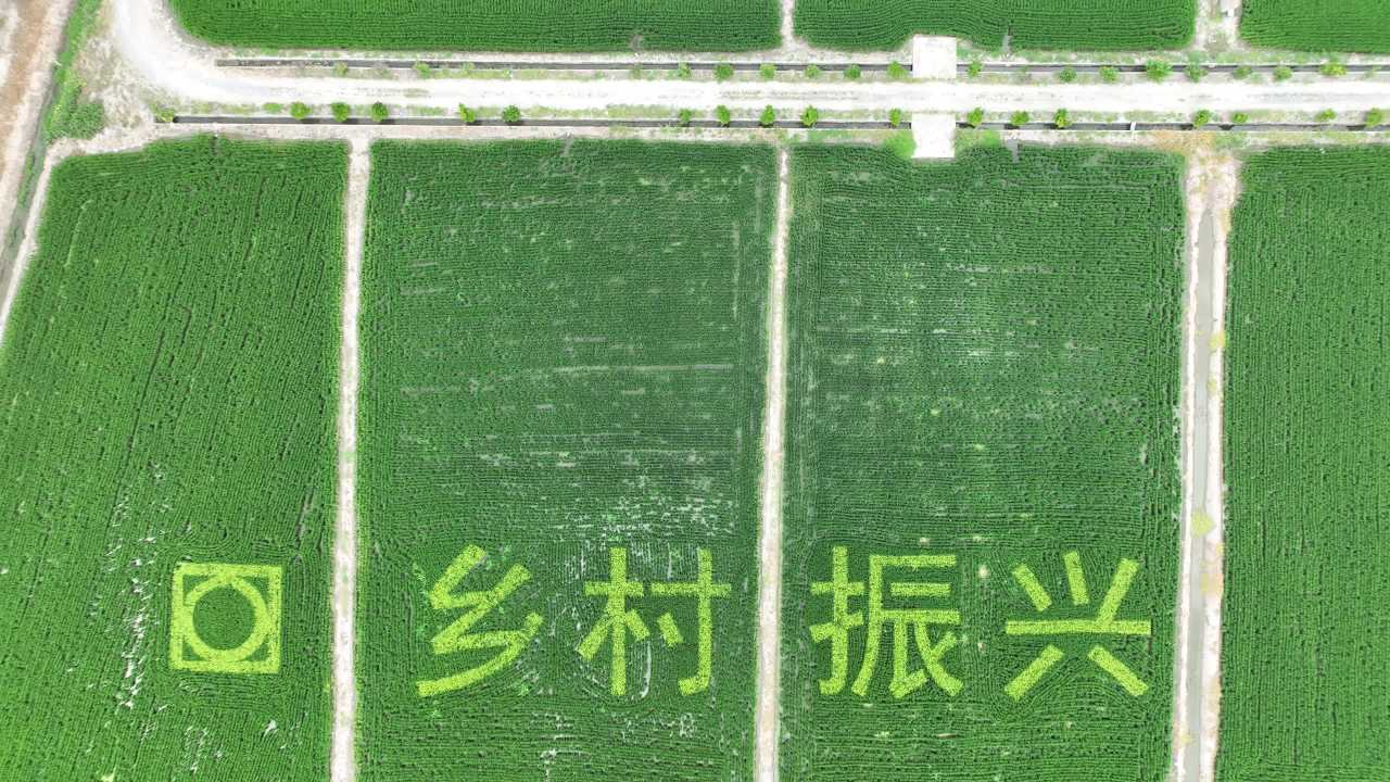 4K航拍乡村田园新风貌