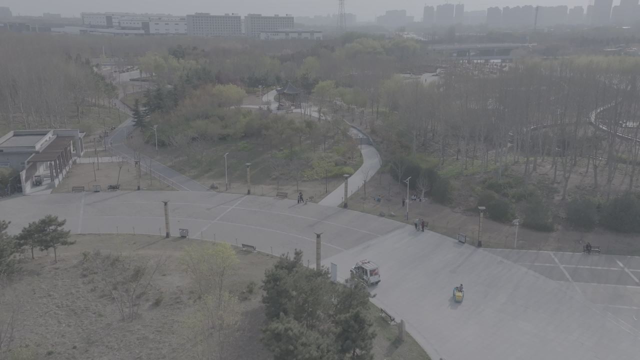 雾中公园漫步