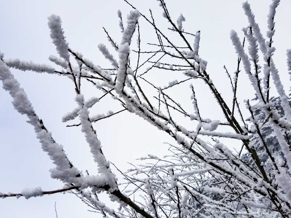 雪
