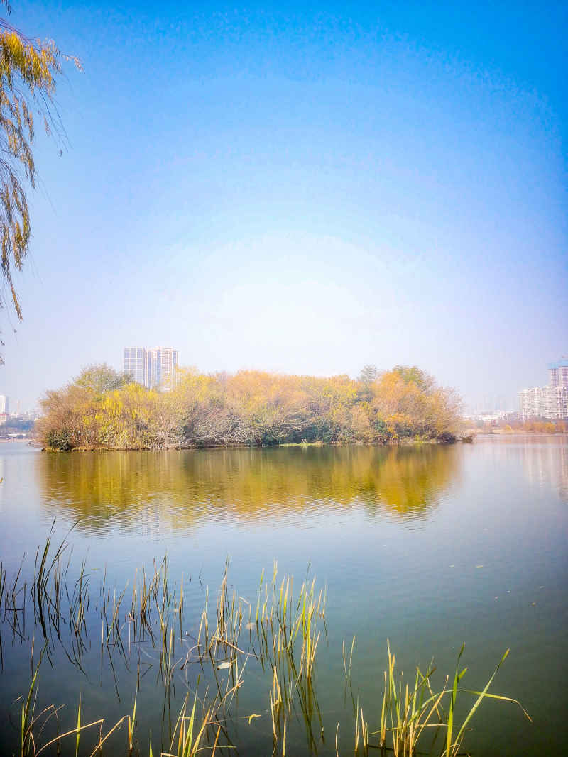 湖南长沙西湖公园摄影图 