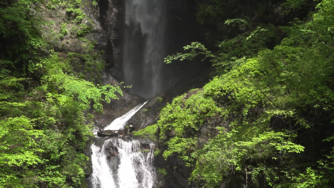 4k瀑布河流自然流水森林树木山河