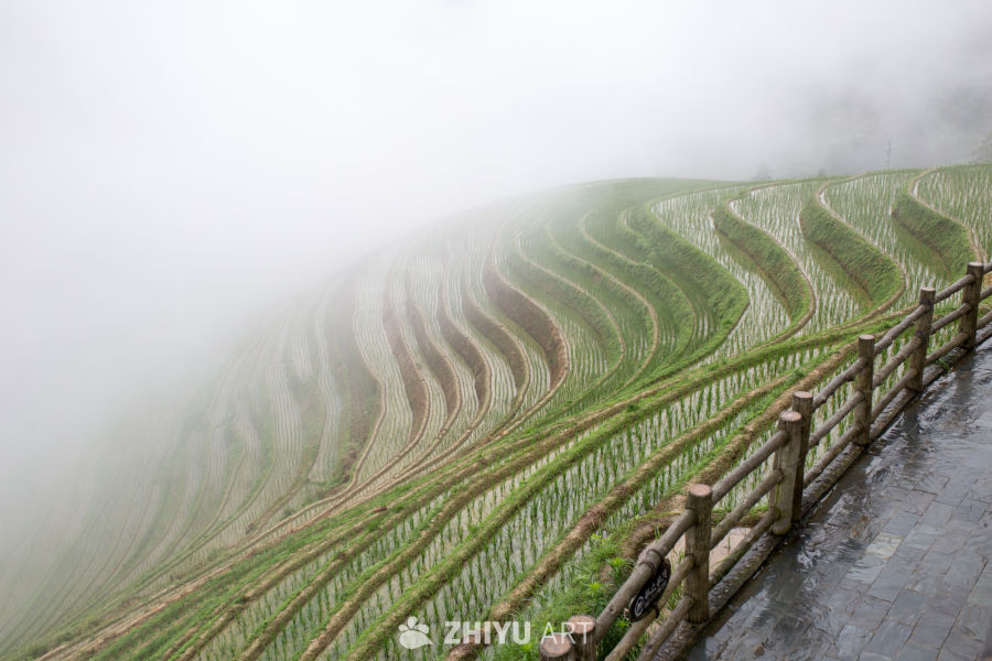 桂林金坑龙脊梯田