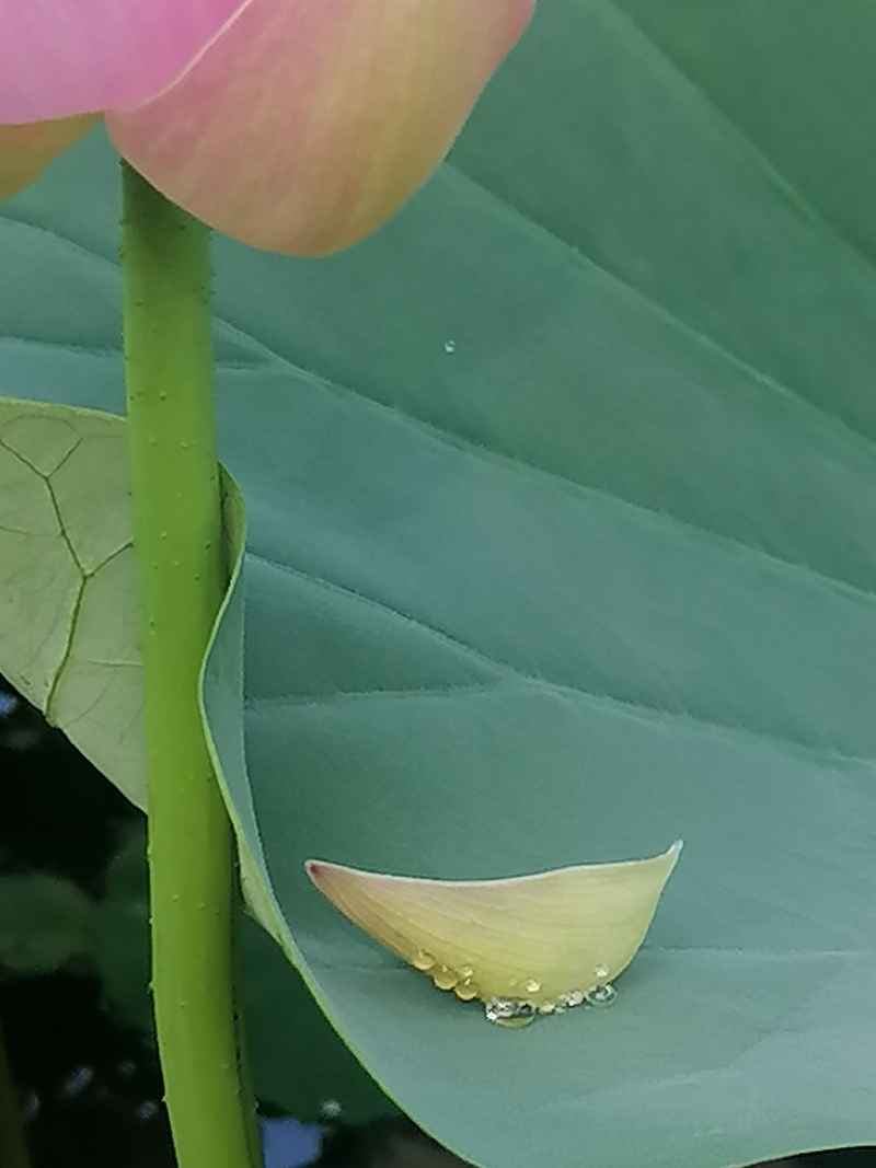 陨落