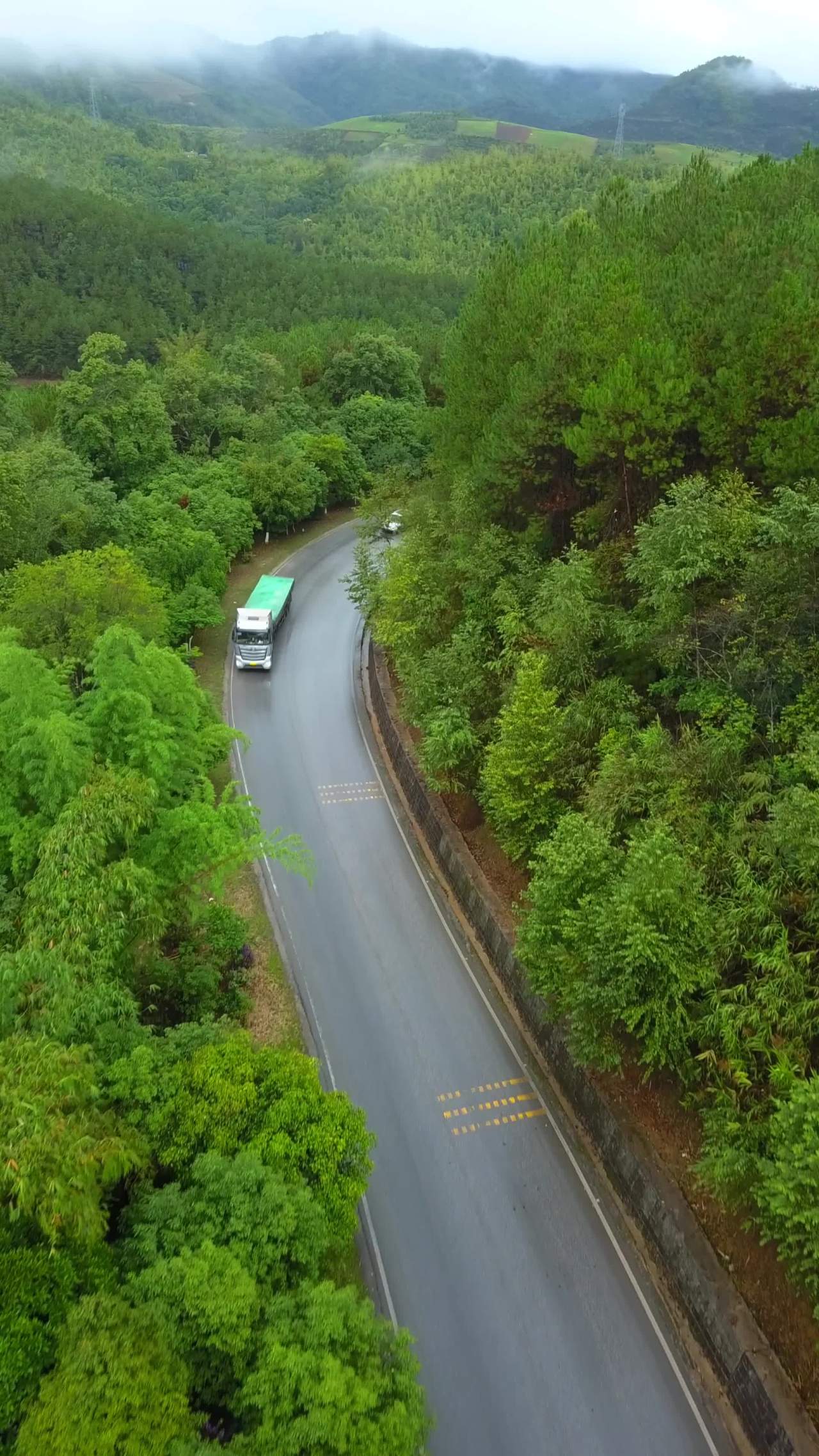 山间绿意盎然的公路