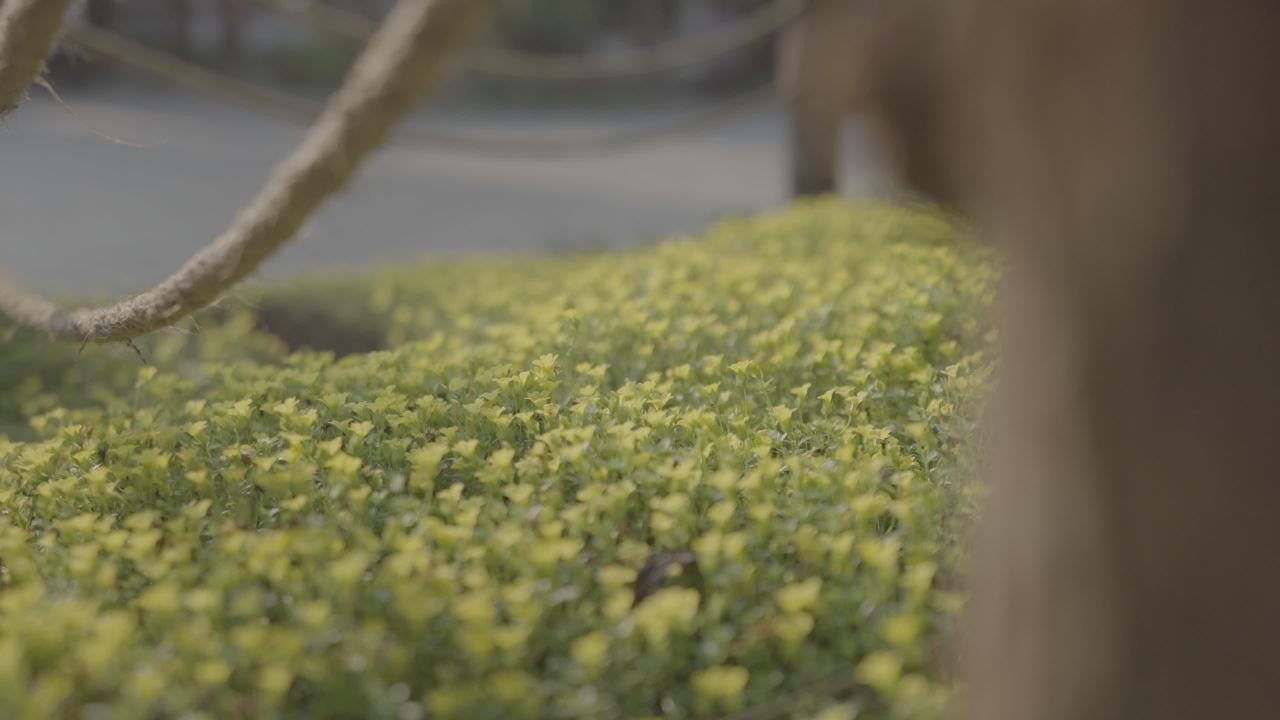 青山 15