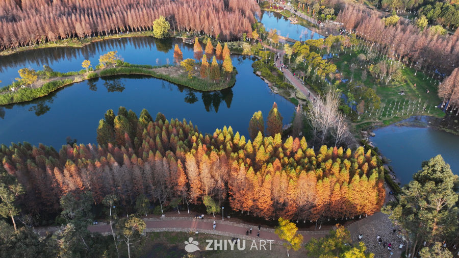 航拍云南昆明海洪湿地公园 3