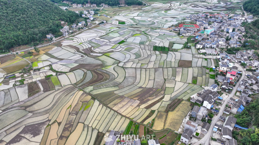 航拍农村稻田  春耕夏种田园风光 2
