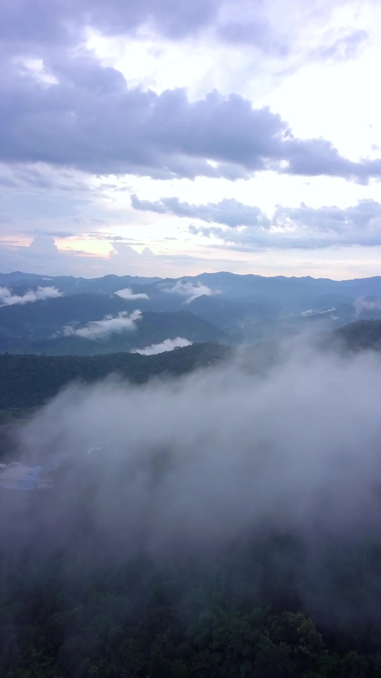 景迈山茶山竖屏-1