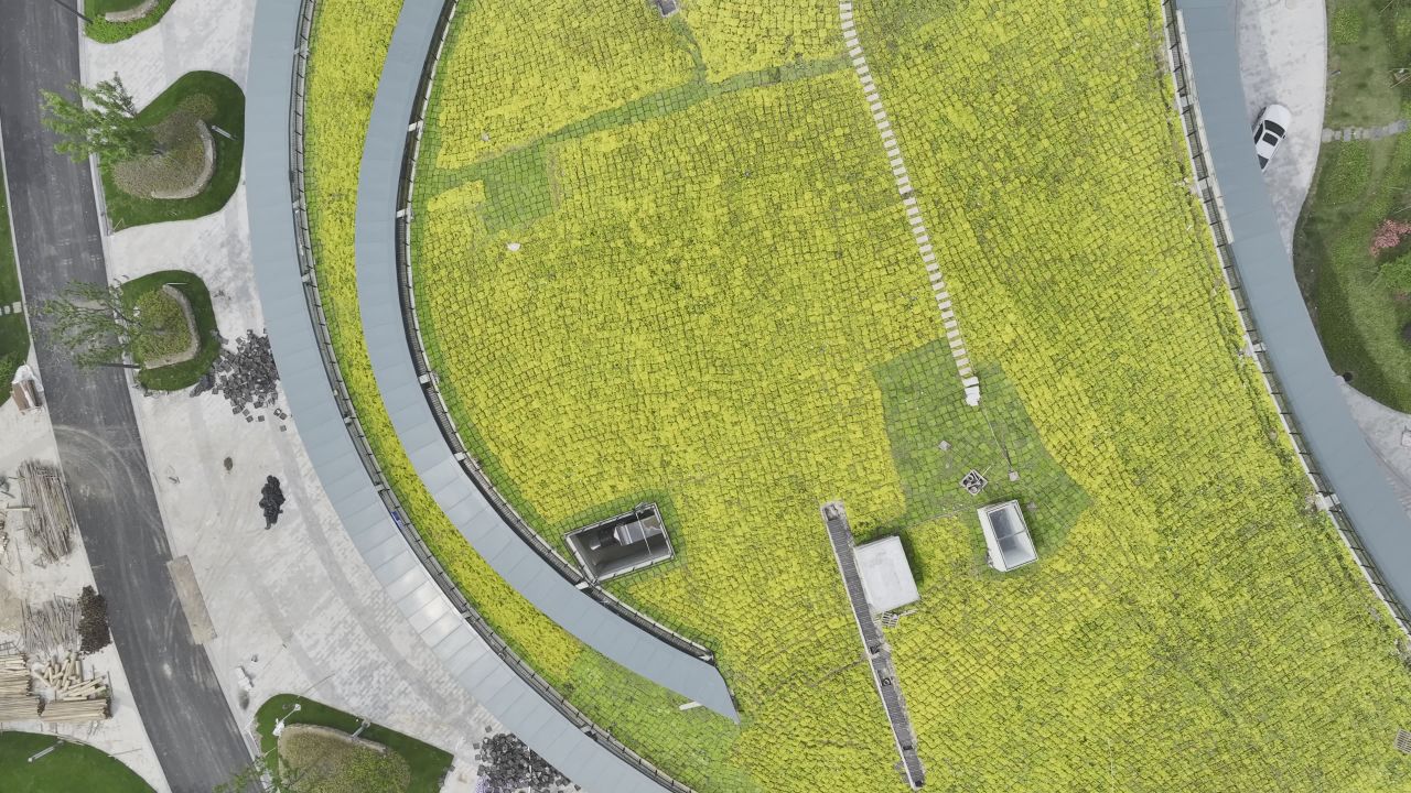 温州三垟湿地东入口航拍景观 5