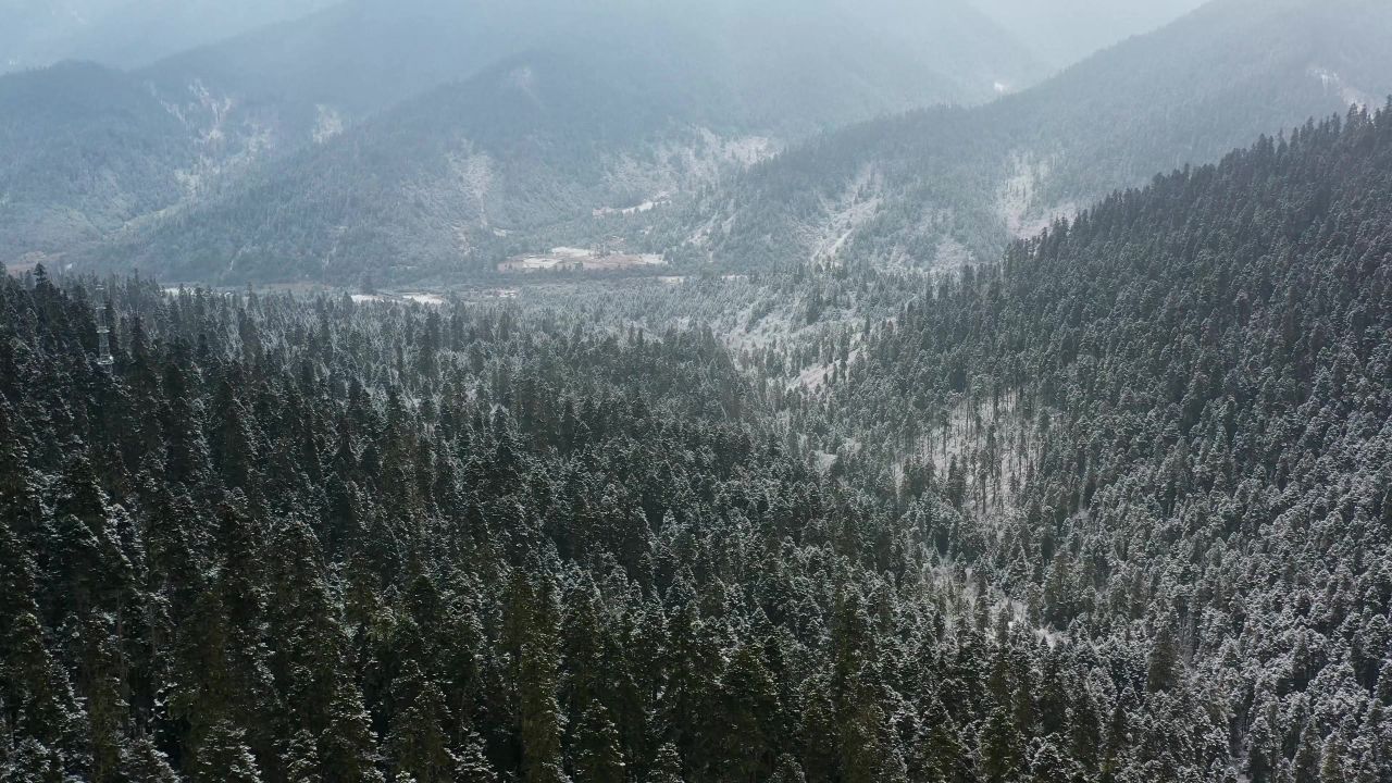 航拍大雪纷飞的鲁朗林海