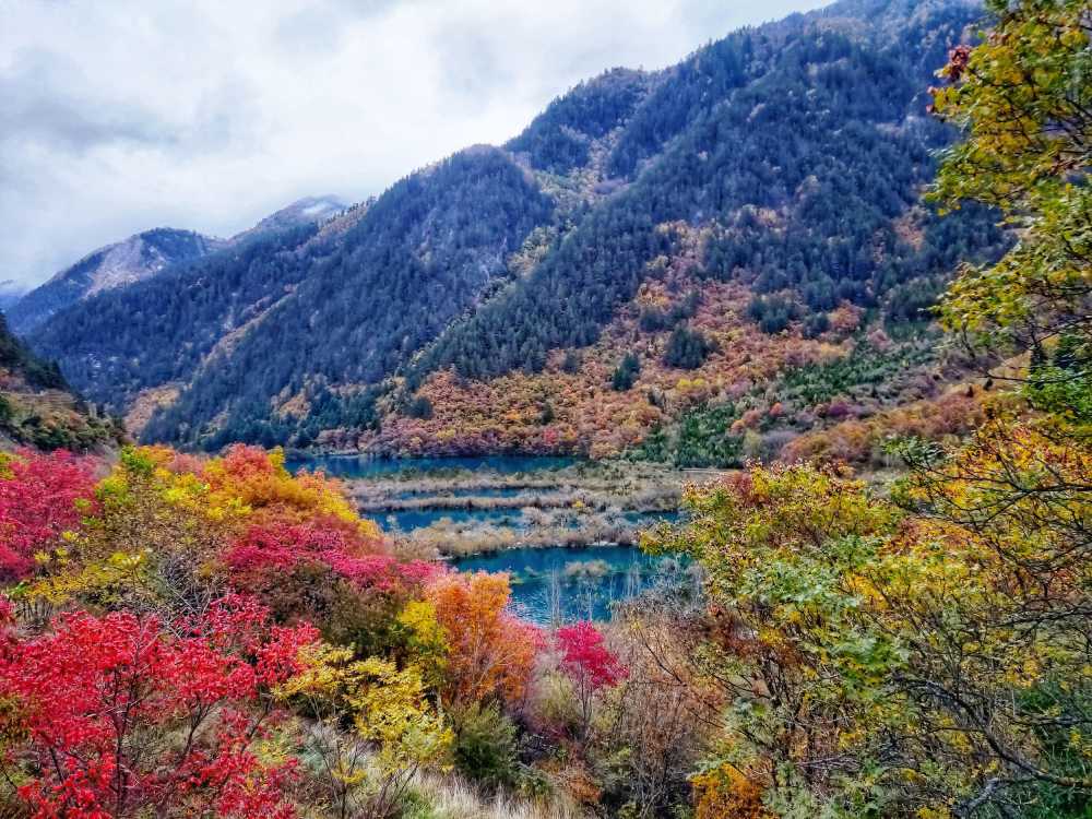 九寨沟树正景色 秋景