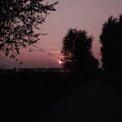 晴天