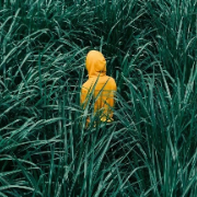 欣欣不会拍照