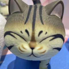 大花猫