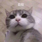 李理李李