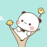 DaisyGu