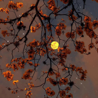 是非📷