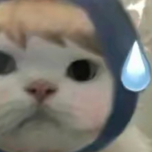 漆零贰佰
