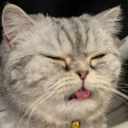 御风留影真君