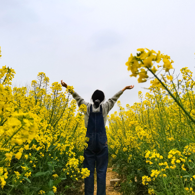 菜头