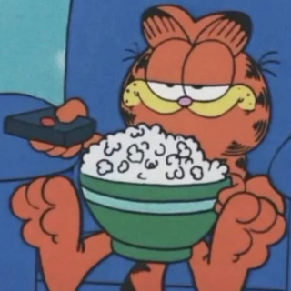 爱摄影的猫
