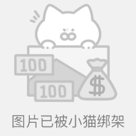 小头鼠海豚