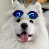 是生打椰椰吗