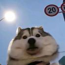 恸