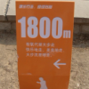 春天的树