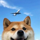 wwwwwwwwwwwwwwwwwww