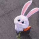 惜往日