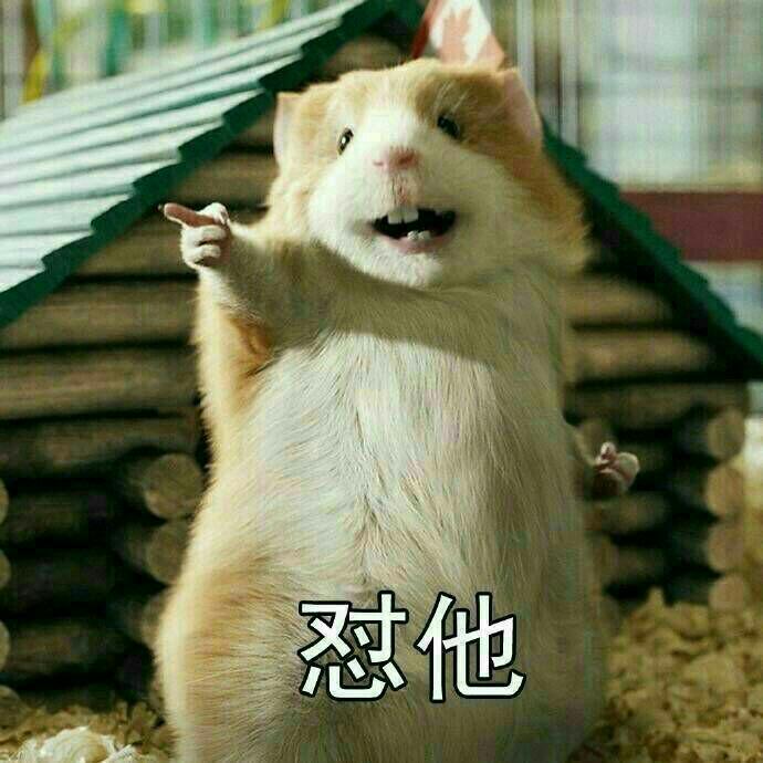 虎丶大大