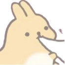 泊