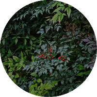 沐寒189